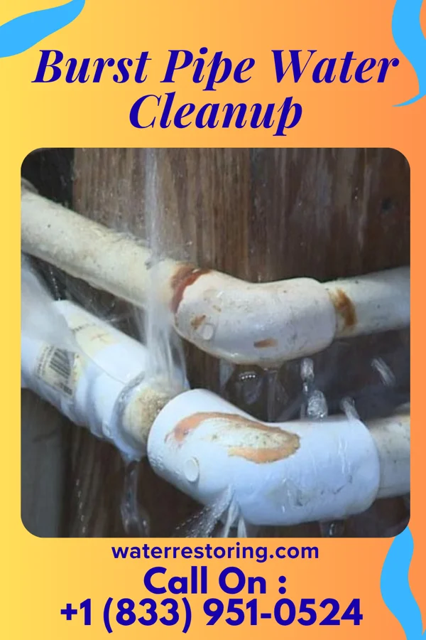 Burst Pipe Water Cleanup in Clayville, NY