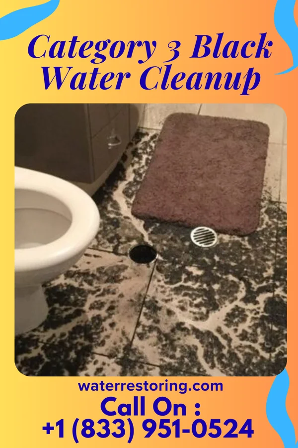Category 3 Black Water Cleanup in Clayville, NY
