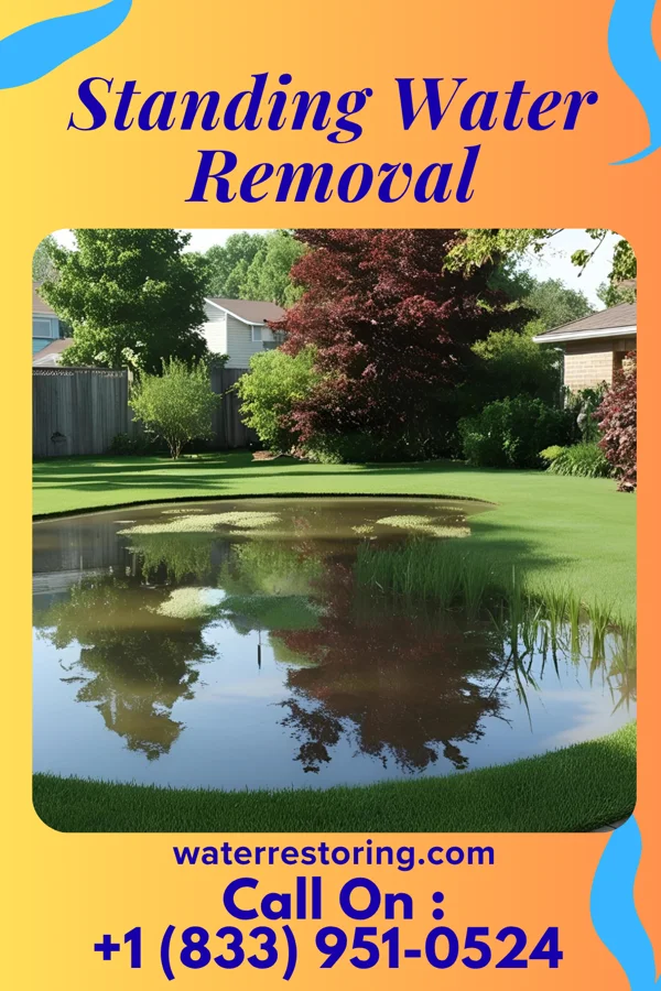 Standing Water Removal in Clayville, NY